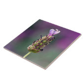 Een stukje lavender tegeltje (Zijkant)