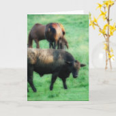 Een stuurman en twee paarden kaart (Gele Bloem)