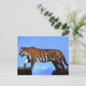 Een succes voor tijgers briefkaart (Staand voorkant)