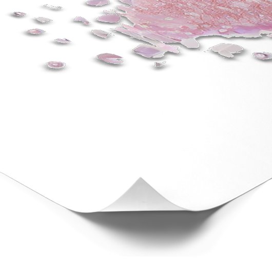 Een suikerpruimenfee foto afdruk (Hoek)