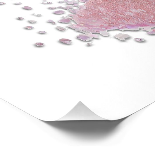 Een suikerpruimenfee perfect poster (Hoek)