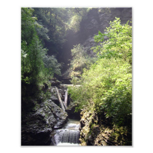 ÉÉN SUMMER-DAG IN DE LEN. NR. 2 FOTO 2011 FOTO AFDRUK