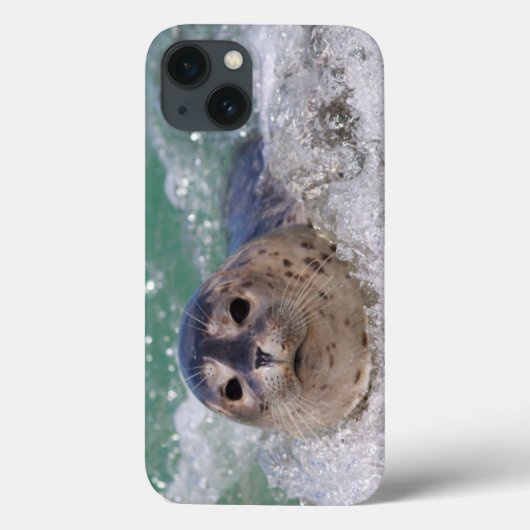 Een surfen op een baby-zeehond Case-Mate iPhone case (Achterkant)