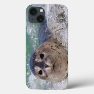 Een surfen op een baby-zeehond Case-Mate iPhone case