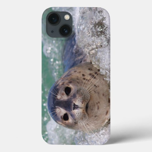 Een surfen op een baby-zeehond Case-Mate iPhone case (Achterkant)