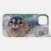 Een surfen op een baby-zeehond Case-Mate iPhone case (Achterkant (horizontaal))