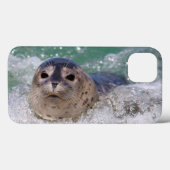 Een surfen op een baby-zeehond Case-Mate iPhone case (Achterkant (horizontaal))