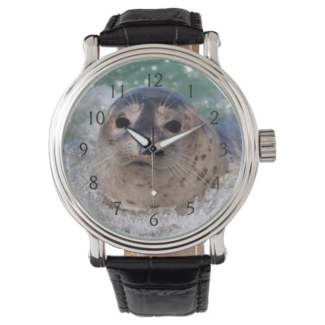 Een surfen op een baby-zeehond horloge (Voorkant)
