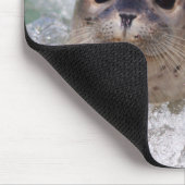 Een surfen op een baby-zeehond muismat (Hoek)