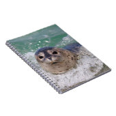 Een surfen op een baby-zeehond notitieboek (Rechterzijde)