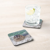 Een surfen op een baby-zeehond onderzetter (Rechterzijde)