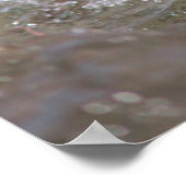 Een surfen op een baby-zeehond poster (Hoek)