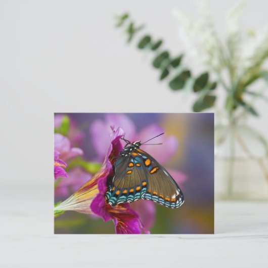 Een Swallowtail Butterfly Briefkaart (Staand voorkant)
