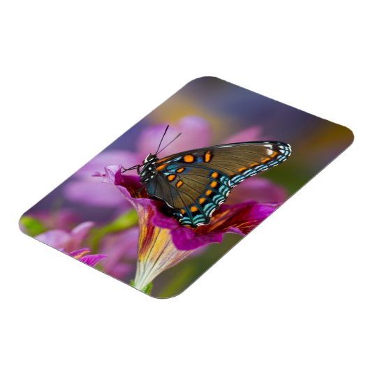 Een Swallowtail Butterfly Magneet (Linkerzijde)