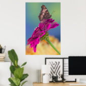 Een Swallowtail Butterfly | Papilio Multicaudatus Poster (Thuiskantoor)