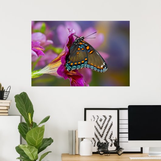 Een Swallowtail Butterfly Poster (Thuiskantoor)