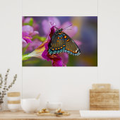 Een Swallowtail Butterfly Poster (Keuken)