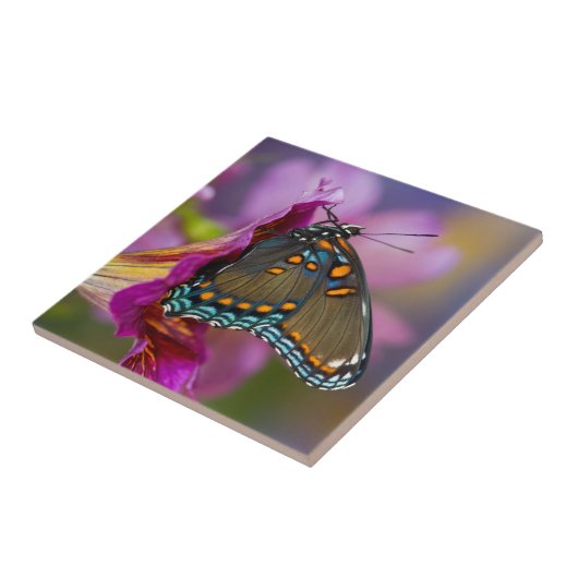 Een Swallowtail Butterfly Tegeltje (Zijkant)