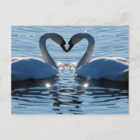 Een Swan Heart Kiss, Reflections of Love