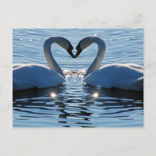 Een Swan Heart Kiss, Reflections of Love Briefkaart