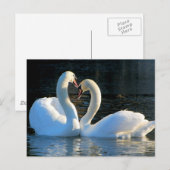 Een Swan Heart Kiss, Reflections of Love Briefkaart (Voorkant / Achterkant)