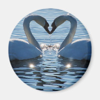 Een Swan Heart Kiss, Reflections of Love