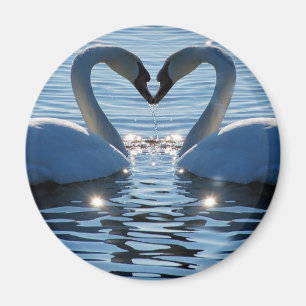 Een Swan Heart Kiss, Reflections of Love Magneet