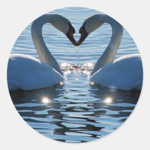 Een Swan Heart Kiss, Reflections of Love Ronde Sticker