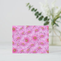Een symfonie van Pink Gerberas,