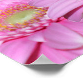 Een symfonie van Pink Gerberas, Poster (Hoek)