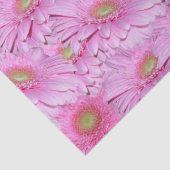 Een symfonie van Pink Gerberas, Tissuepapier (Detail)