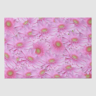 Een symfonie van Pink Gerberas, Tissuepapier