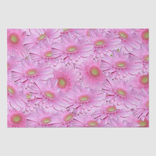 Een symfonie van Pink Gerberas, Tissuepapier (Voorkant)