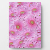 Een symfonie van roze Gerbera's, Fotoplaat (voorkant)