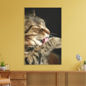 Een tabby kat die zijn poot likt. canvas afdruk (Insitu (Woonkamer))