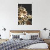 Een tabby kat die zijn poot likt. canvas afdruk (Insitu (Slaapkamer))
