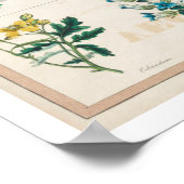 Een tabel met plantaardige giften  poster (Hoek)