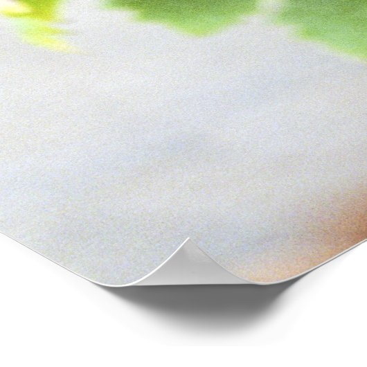 Een tak van een zeer oude wijngaard met gnarled poster (Hoek)