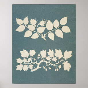 Een tak van het Roos en de Tak Jasmin Poster
