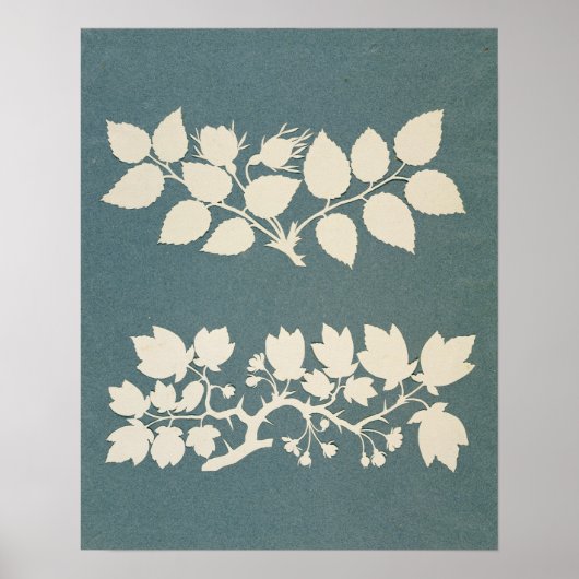 Een tak van het Roos en de Tak Jasmin Poster (Voorkant)