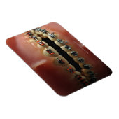 Een tandheelkundig model en de steunen van de Tand Magneet (Rechterzijde)