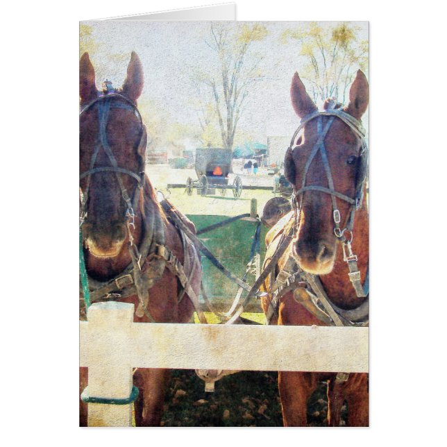 Een team met twee paarden (Voorkant)