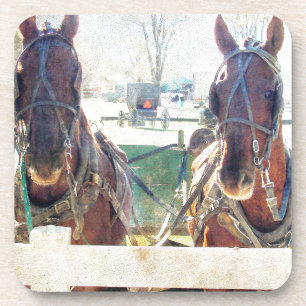 Een team met twee paarden onderzetter