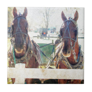 Een team met twee paarden tegeltje
