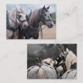 Een team van Percheron Notitiekaartje (Voorkant / Achterkant)