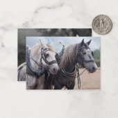 Een team van Percheron Notitiekaartje (Voorkant / Achterkant in situ)