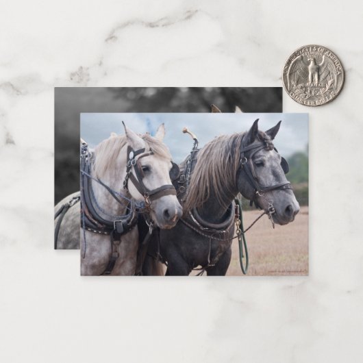 Een team van Percheron Notitiekaartje (Voorkant / Achterkant in situ)
