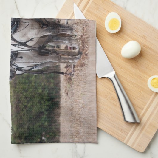 Een team van Percheron Theedoek (Quarter Fold)