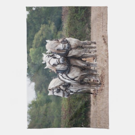 Een team van Percheron Theedoek (Verticaal)