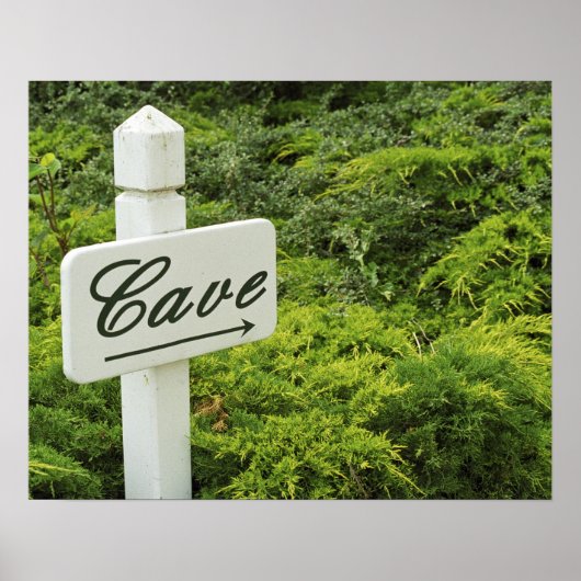 Een teken dat wijst op de wijnkelder in poster (Voorkant)